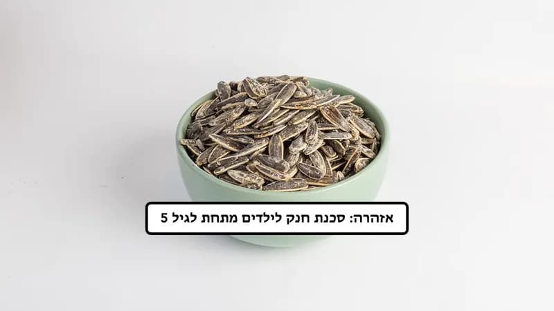 גרעיני חמניה | מעט מלח