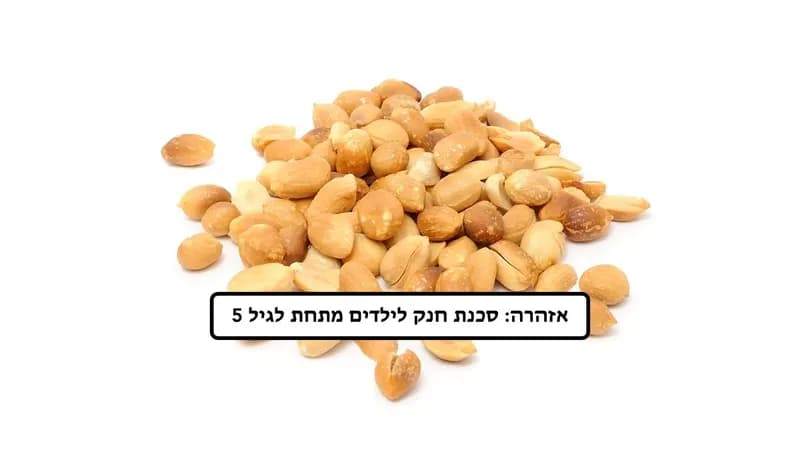 בוטן מטוגן