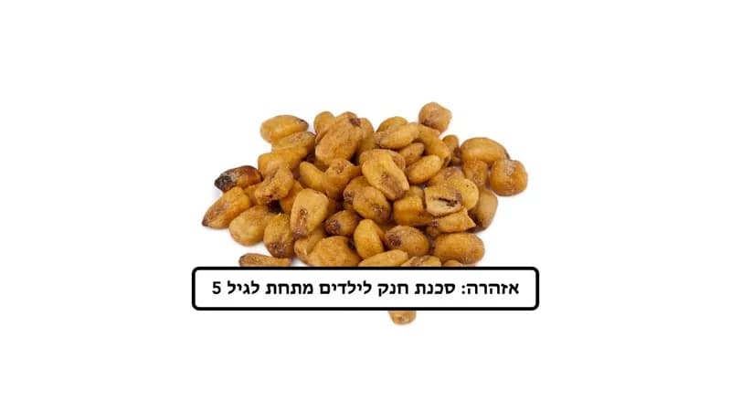 תירס קלוי