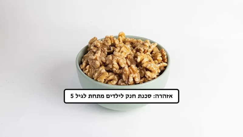 אגוז מלך בראשית