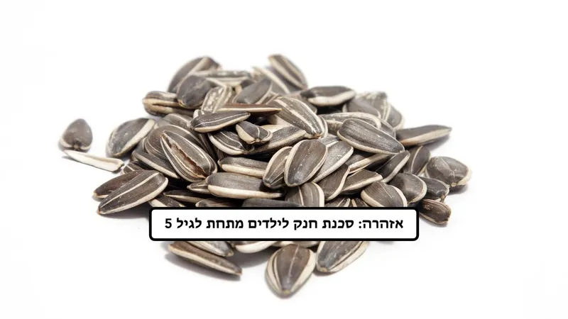 גרעיני חמניה | ללא מלח