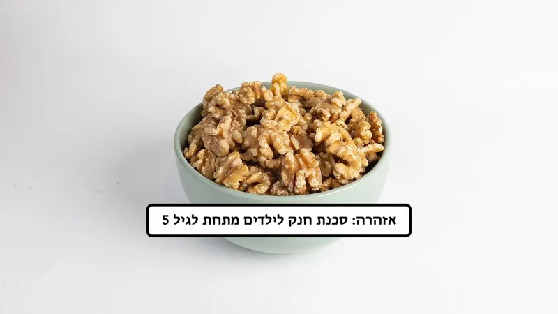 אגוז מלך בראשית